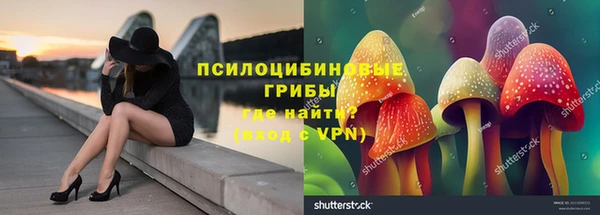 прущие грибы Армянск