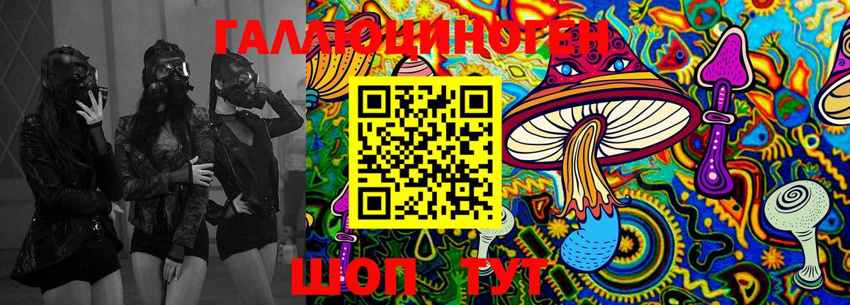 Галлюциногенные грибы Psilocybe Белебей