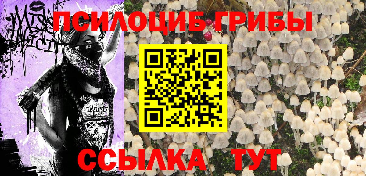 Белебей  Галлюциногенные грибы GOLDEN TEACHER  Вход с VPN 